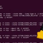 IPTables & Firewall Rules for Your Pi